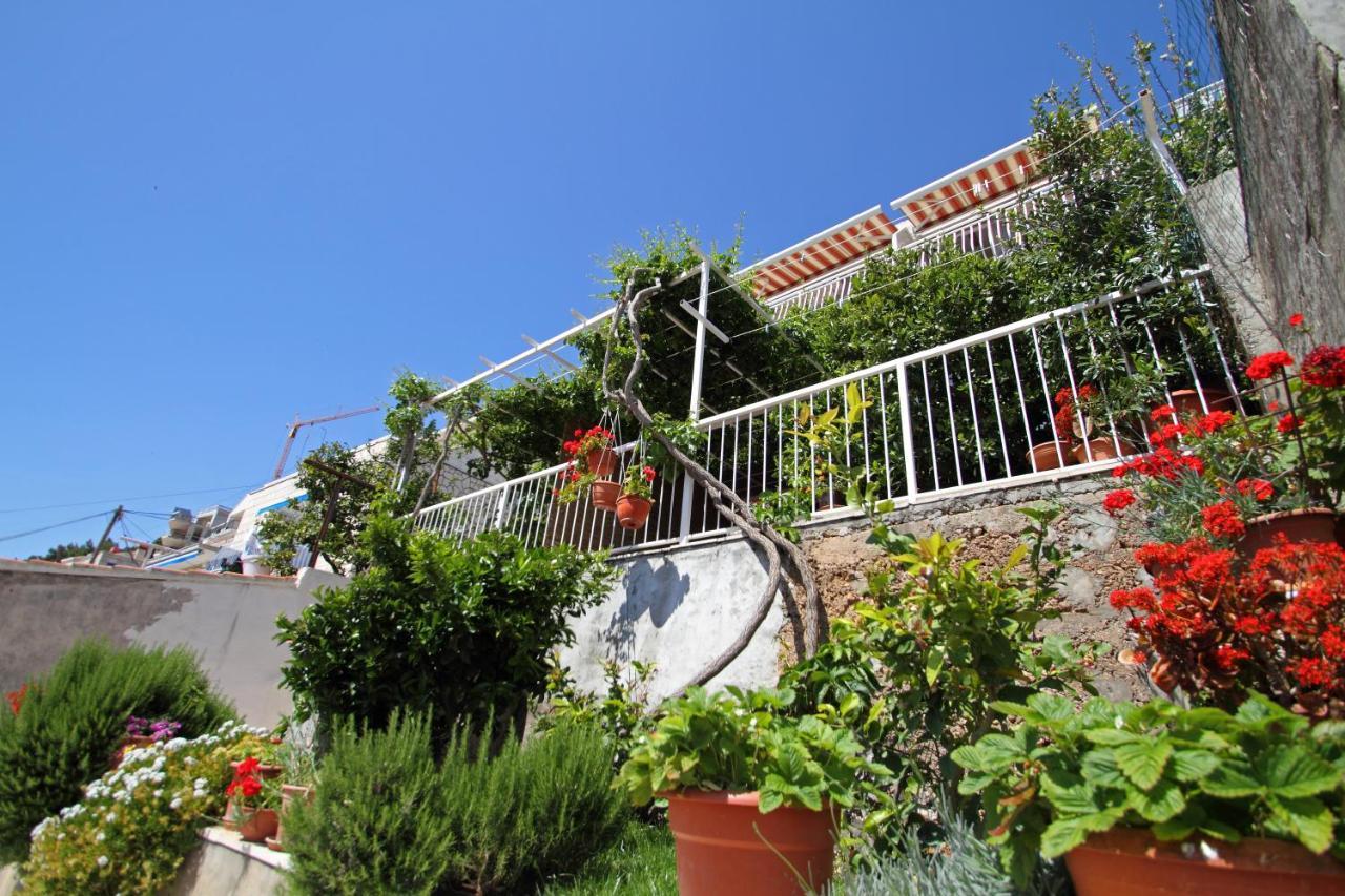 Apartments Ante Dubrovnik Kültér fotó